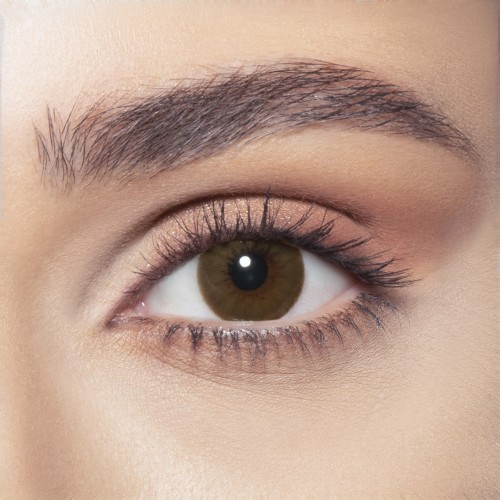 Bella Brown Shadow Monthly